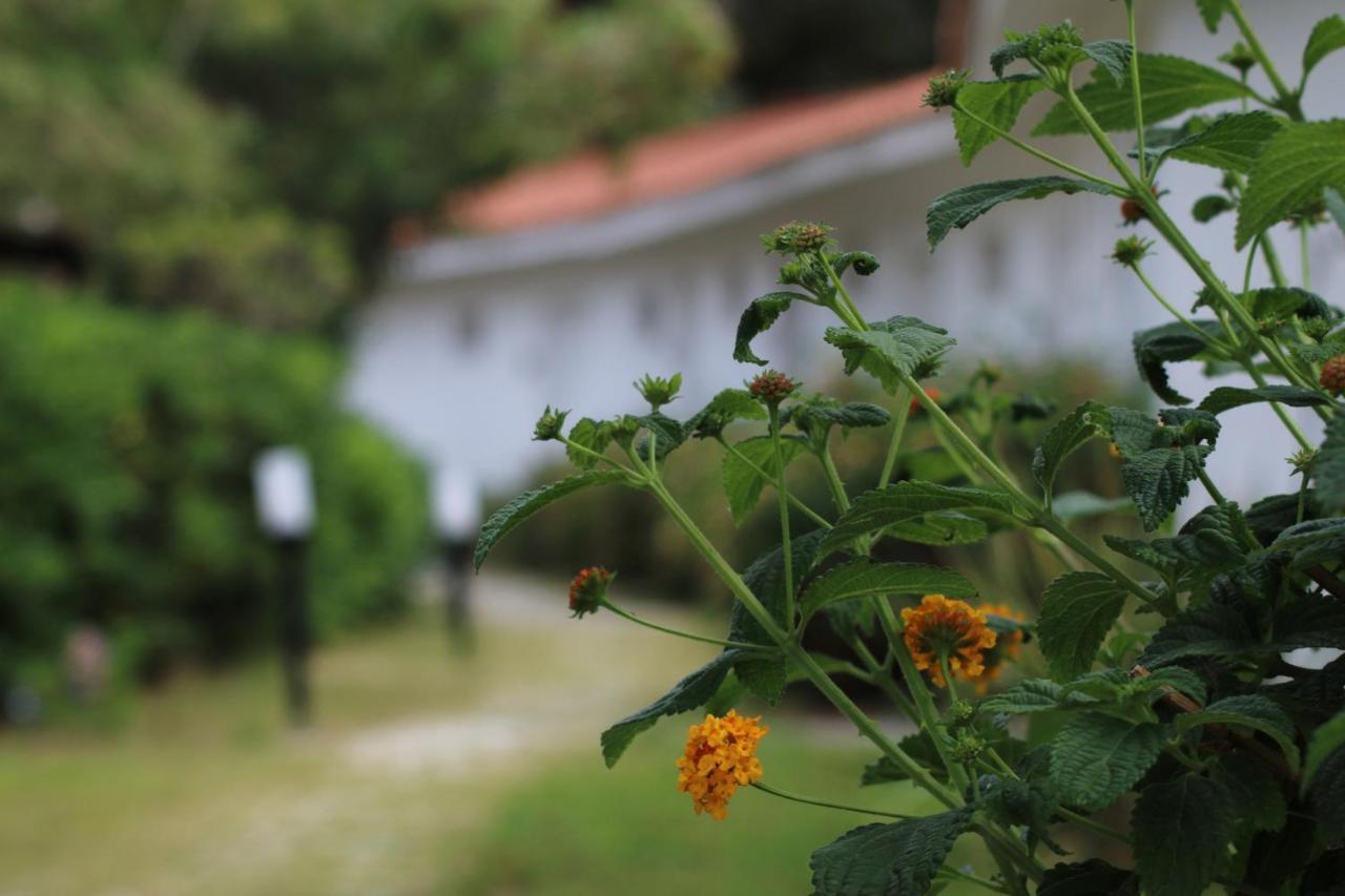 Bv Kalafiorita Resort Zambrone Buitenkant foto